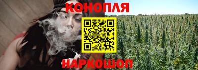 сатива Балаково
