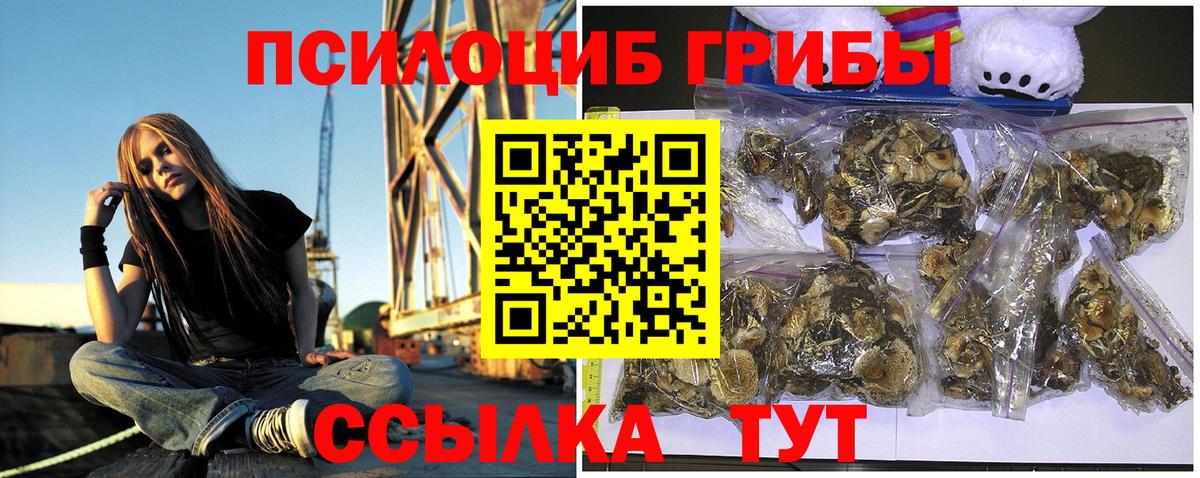 Галлюциногенные грибы GOLDEN TEACHER  Вход с VPN  Артём 