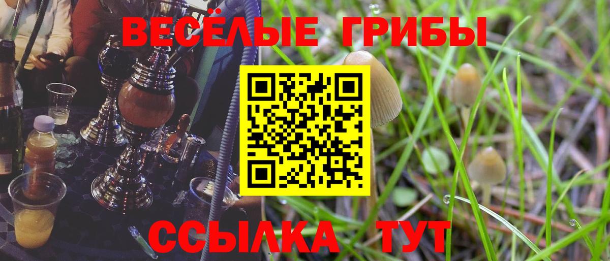 Псилоцибиновые грибы Magic Shrooms Артём