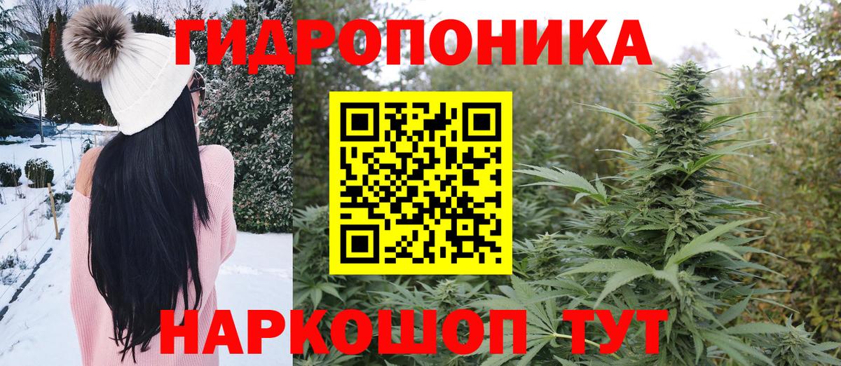 Каннабис White Widow  Шишки марихуана индика  Артём 